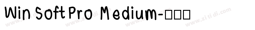 WinSoftPro Medium字体转换
